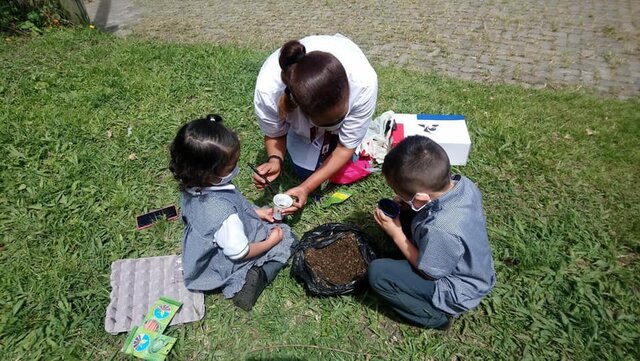 La cátedra Educación Ambiental Incluyente y por la Paz.