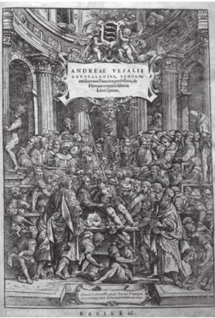 De humani corporis fabrica