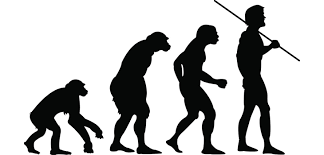 Surgimiento de los hominidos