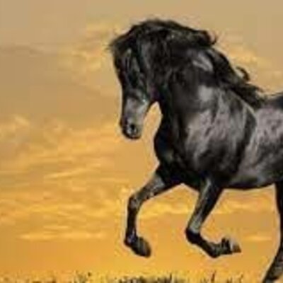 Timeline: Αραβοισλαμικός κόσμος