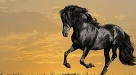 Timeline: Αραβοισλαμικός κόσμος