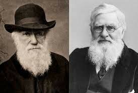 Alfred Russel Wallace
