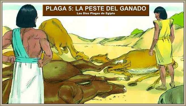 5. La peste del ganado