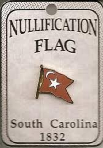 South Carolina tries to nullify