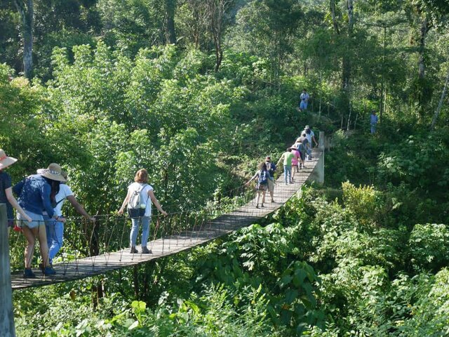 Auge del Turismo Alternativo