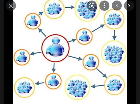 Estándares y efectos de la red