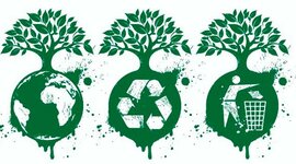 Timeline: Historia de la Educación Ambiental