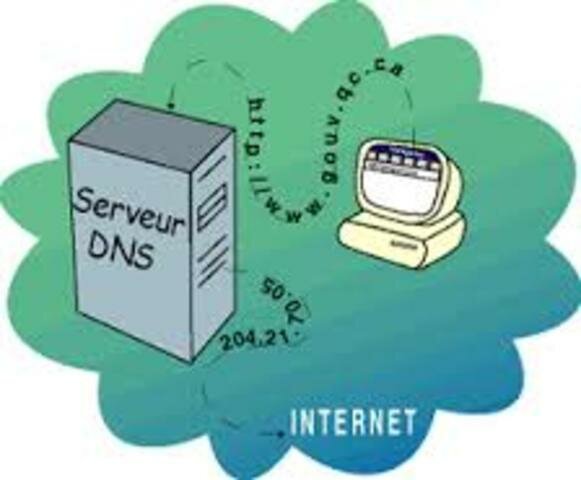 Aparecen los Servidores