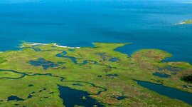 Timeline: 125 Years of Human Impact on The Chesapeake Bay