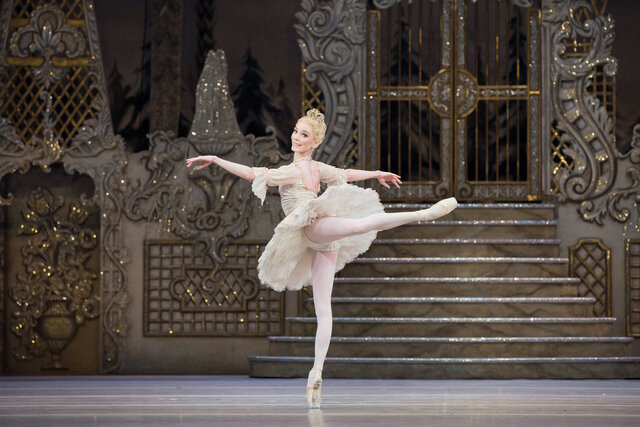 Introduction of the ballet costume