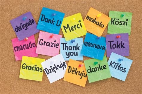 The Bilingual Education Act of 1984