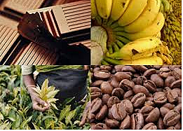 Subsidios a cambio de exportación de café, caucho, tabaco y algodón