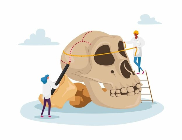 Estudios Antropologicos