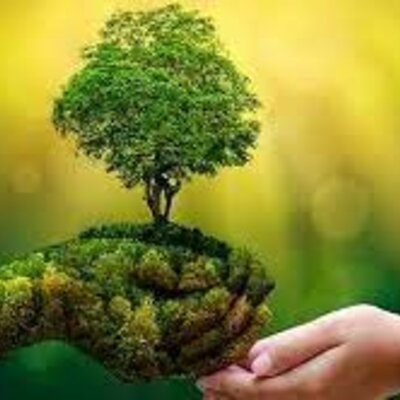 Timeline: Historia de la Educación Ambiental