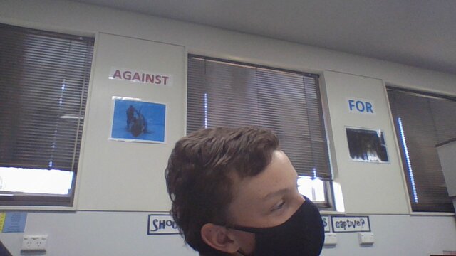 THE INDUSTRIAL REVOLUTION