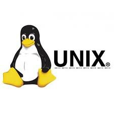 Desarrollo de unix