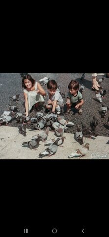 Van migrar desde Baúl, fins a Estació de França, sants, per començar una nova vida
