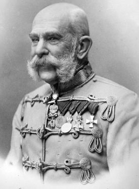 a leader from Austria-Hungary was shot over land.