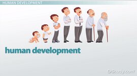 Timeline: Stages of growth and development