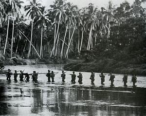 Batalla de Guadalcanal