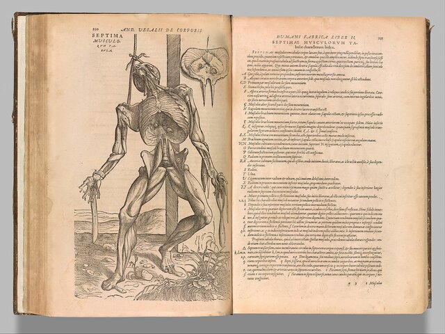 Andreas Vesalius