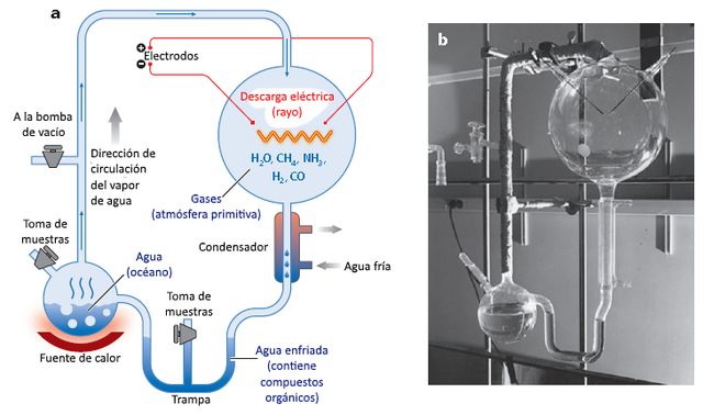 Teoría de la sopa o caldo primordial (experimento de Miller y Urey)