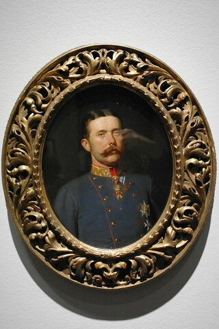 The Assassination of Archduke Franz Ferdinand