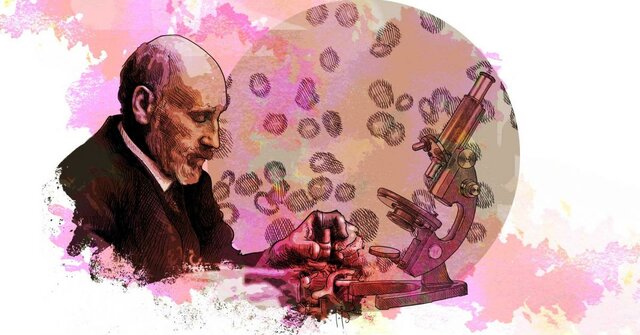 Matthias J. Schleiden y Theodor Schwann