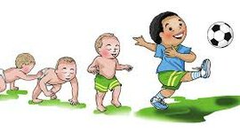 Timeline: Hitos del Desarrollo Evolutivo