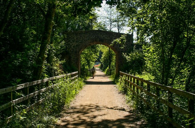 Arribada del tren a la Garrotxa