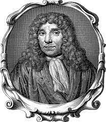 Leeuwenhoek