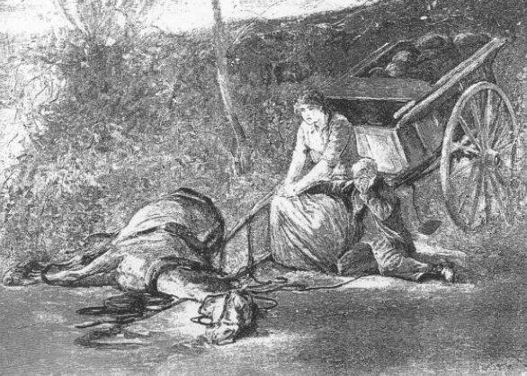 Descendants of the d'Urbervilles