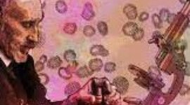 Timeline: El avance de la teoría celular, en la historia de la humanidad.