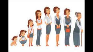 Ciclo vital (Teoría Biológica)