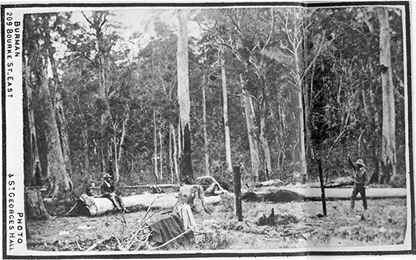 the date of the shootout at stringybark creek
