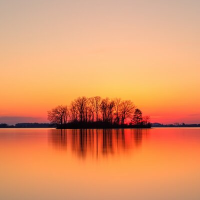 Timeline: Analeigh's Life Path