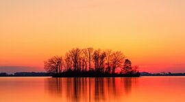 Timeline: Analeigh's Life Path