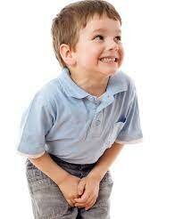 Fálica  3 a 5 añoa