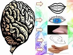 SIGLO XVIII EDUCACION RACIONALISMO  Y EMPIRISMO