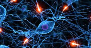 Sociedad de neurociencia.