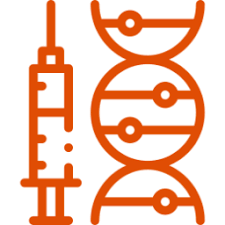 Programa de Investigación en Neurociencias