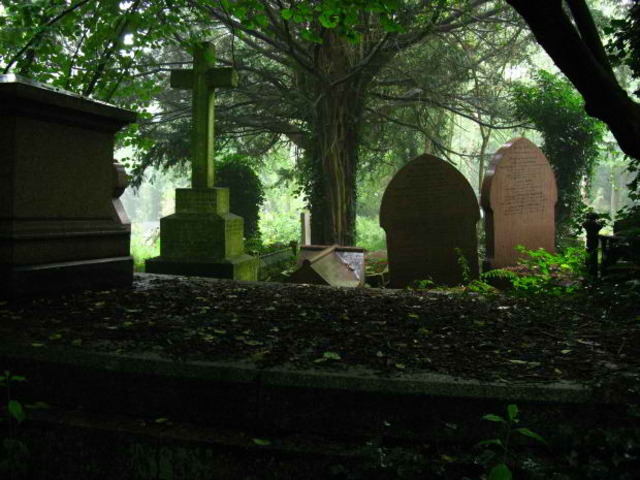 "Two Worlds, One Family"