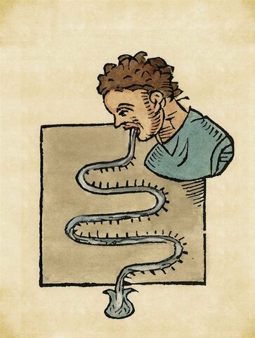 Termómetro Clínico