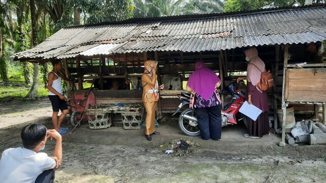 Monitoring Wabah LSD Kabupaten Pelalawan