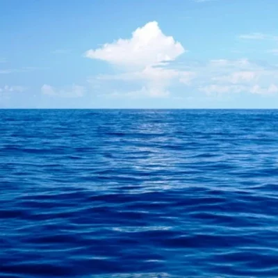 Timeline: Cristobal Colomc