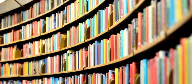 Concluir o curso de Biblioteconomia.