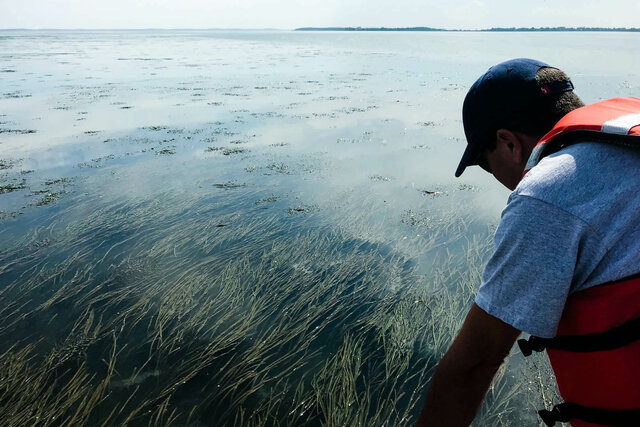 Alliance for the Chesapeake Bay