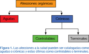 Sistema de psicología dinámica