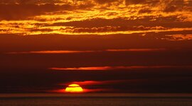 Timeline: LINEA PROPIA