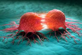 Formation of a tumor